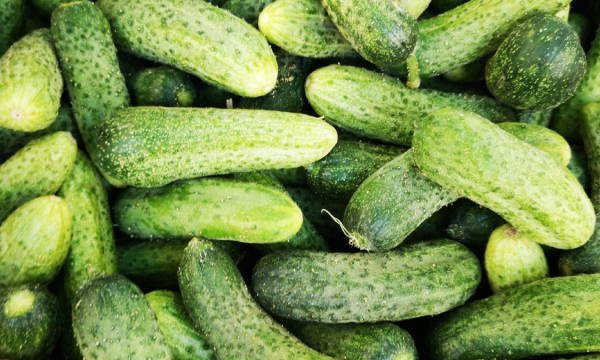 Этот неожиданный сосед для огурцов увеличит урожай в два раза: вы удивитесь